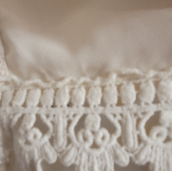 Sheer Lace Blouse - Picture 8 of 10